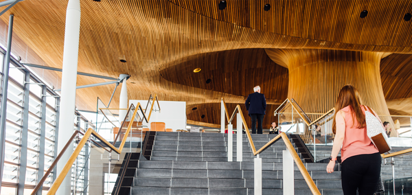 The Senedd